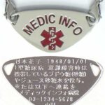PP-ST1001-R